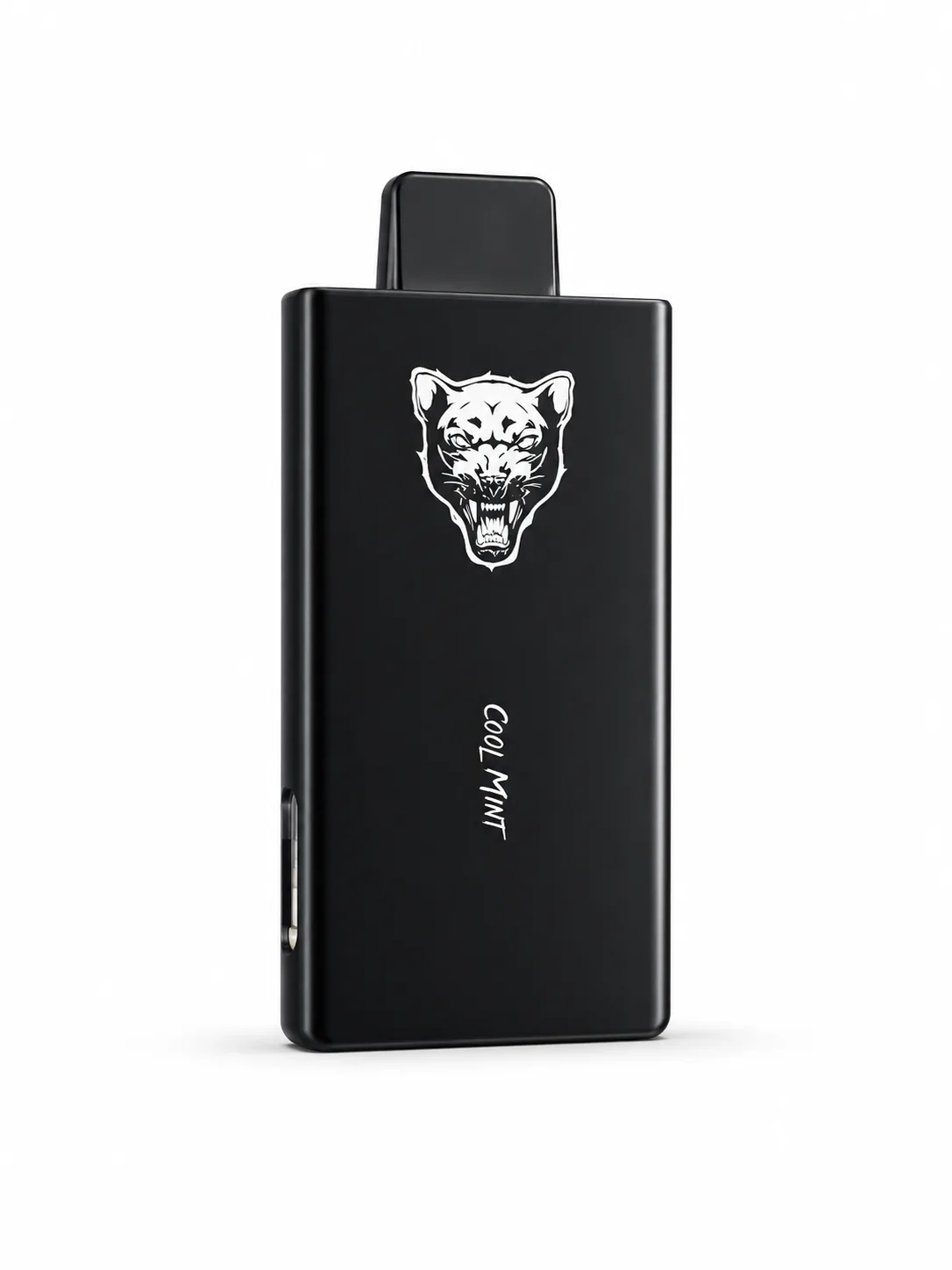 Vanther 30000 Puffs Disposable Vape Cool Mint 25ml Rechargeable Type-C Device